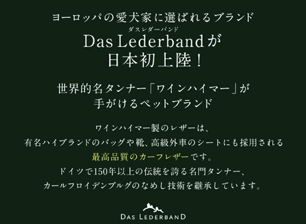 Das Lederband00